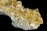 Lustrous, Yellow Calcite Crystal Cluster - Fluorescent! #128933-2